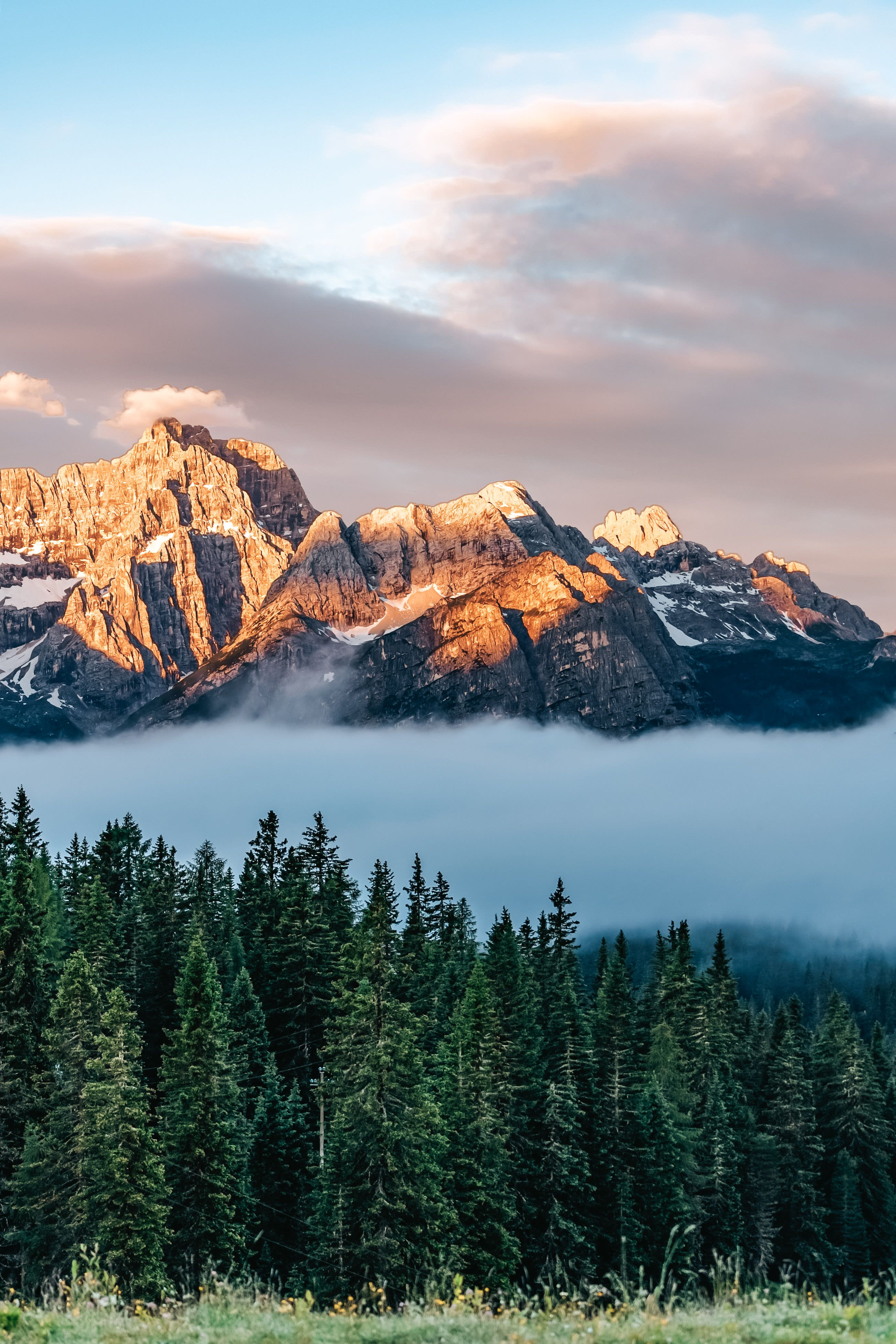 Alpengipfel bei Sonnenaufgang mit dichtem Nebel über bewaldeten Hängen – mobile Ansicht